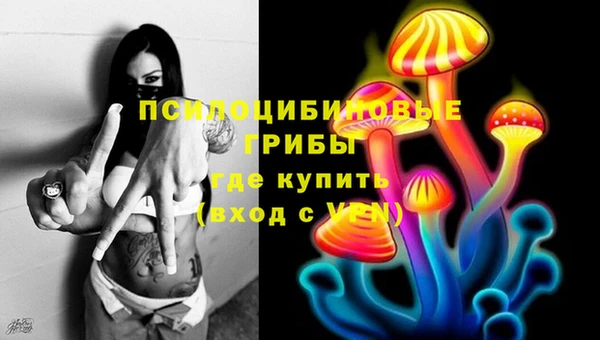 mdpv Дмитриев