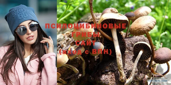 винт Дмитровск