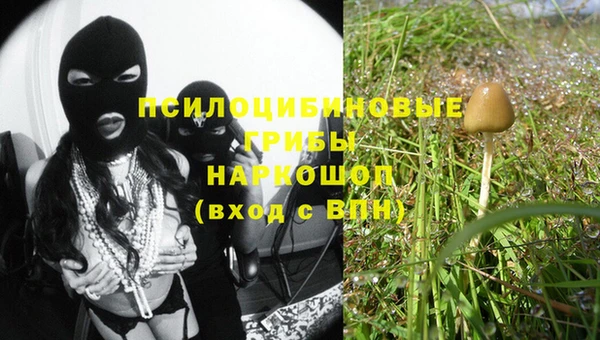 прущая мука Дмитров
