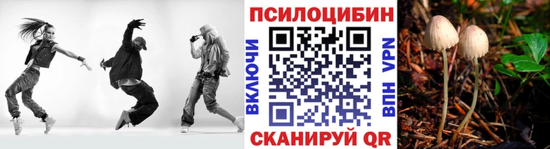маркетплейс клад  Дмитровск  Псилоцибиновые грибы мицелий 